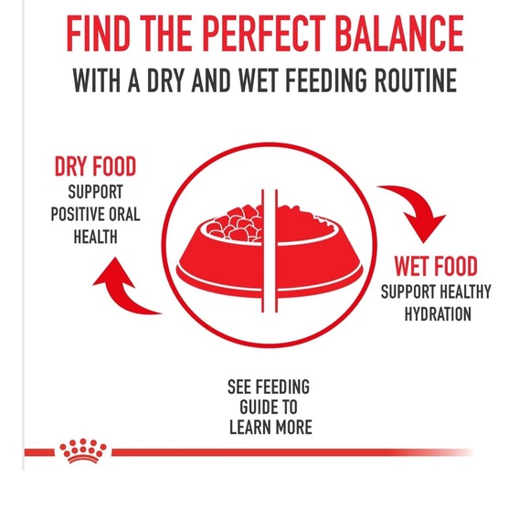 Royal Canin Adult Shih Tzu 4 pack loaf in sauce dog food. 4x4=16 3 oz cans - Picture 3 of 6